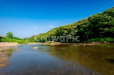 산, 시골, 자연, 나무, 강, 사진,이미지,일러스트,캘리그라피 - Nappbaby작가 크라우드픽 - 저작권 걱정 없는 상업용 이미지