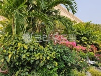 정원, 정자, outdoors, garden, 식물, 사진,이미지,일러스트,캘리그라피 - 민준맘작가 크라우드픽 - 저작권 걱정 없는 상업용 이미지