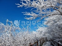 자연, 날씨, 눈, snow, ice, 사진,이미지,일러스트,캘리그라피 - dghge58작가 크라우드픽 - 저작권 걱정 없는 상업용 이미지