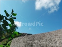 산성, 나무, tree, 초록, 성, 사진,이미지,일러스트,캘리그라피 - Nrabblt0701작가 크라우드픽 - 저작권 걱정 없는 상업용 이미지