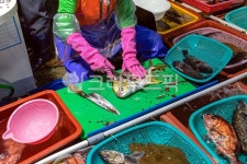 통영, 수산시장, 수산물, 회, 생선, 사진,이미지,일러스트,캘리그라피 - 참 아름다우리라작가 크라우드픽 - 저작권 걱정 없는 상업용 이미지