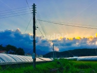 cable, 케이블, 가로등, sky, cloud, 사진,이미지,일러스트,캘리그라피 - 광사과작가 크라우드픽 - 저작권 걱정 없는 상업용 이미지