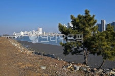 배곧, 갯골, 갯고랑, 뻘, 바다, 사진,이미지,일러스트,캘리그라피 - Deep bLUE작가 크라우드픽 - 저작권 걱정 없는 상업용 이미지