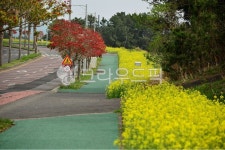 도로, road, 길, sidewalk, 보도, 사진,이미지,일러스트,캘리그라피 - 소낭구작가 크라우드픽 - 저작권 걱정 없는 상업용 이미지