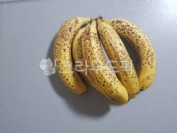 바나나, plant, 식물, banana, food, 사진,이미지,일러스트,캘리그라피 - 장조림작가 크라우드픽 - 저작권 걱정 없는 상업용 이미지