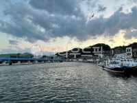 항구, 삼척항구, 바다, port, 배, 사진,이미지,일러스트,캘리그라피 - nanakmaya작가 크라우드픽 - 저작권 걱정 없는 상업용 이미지