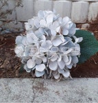 꽃, 식물, flower, plants, 나무, 사진,이미지,일러스트,캘리그라피 - kim89작가 크라우드픽 - 저작권 걱정 없는 상업용 이미지