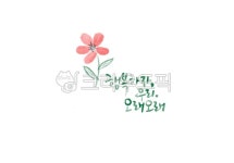 일러스트, 캘리그라피, 캘리, 손그림, 꽃그림, 사진,이미지,일러스트,캘리그라피 - ddocjooo작가 크라우드픽 - 저작권 걱정 없는 상업용 이미지