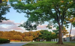 nature, 자연, 공원, 나무, 작은숲, 사진,이미지,일러스트,캘리그라피 - Sosssssl작가 크라우드픽 - 저작권 걱정 없는 상업용 이미지