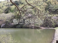 reservoir, 저수지, 전남화순세량지, jeonnamhwasunseryangji, hwasunseryangji, 사진,이미지,일러스트,캘리그라피 - miso1004작가... 