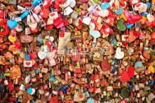 서울, 회현동, 남산, 공원, 남산공원, 사진,이미지,일러스트,캘리그라피 - imlover작가 크라우드픽 - 저작권 걱정 없는 상업용 이미지