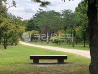 공원, 자연, 식물, 하늘, 감성, 사진,이미지,일러스트,캘리그라피 - awesome작가 크라우드픽 - 저작권 걱정 없는 상업용 이미지