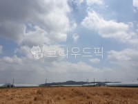 시골, 풍경, 농로, 가을느낌, 한국자연풍경, 사진,이미지,일러스트,캘리그라피 - 별똥마마작가 크라우드픽 - 저작권 걱정 없는 상업용 이미지