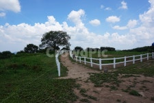 가창, 포니목장, 목장, 하늘, 자연, 사진,이미지,일러스트,캘리그라피 - 짱주작가 크라우드픽 - 저작권 걱정 없는 상업용 이미지