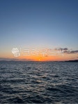 sky, 하늘, sunset, 일몰, 수평선, 사진,이미지,일러스트,캘리그라피 - tofkd1101작가 크라우드픽 - 저작권 걱정 없는 상업용 이미지
