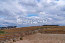 고창군, 상하목장, gochanggun, jeollabukdo, sanghafarm, 사진,이미지,일러스트,캘리그라피 - Nbellcch88작가 크라우드픽 - 저작권 걱정... 