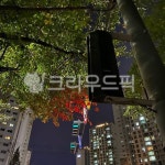 신호등, 나무, 가로등, 아파트, 아파트단지, 사진,이미지,일러스트,캘리그라피 - awrogihfmv작가 크라우드픽 - 저작권 걱정 없는 상업용 이미지