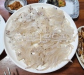 오징어회, 오징어, 산오징어, 회, food, 사진,이미지,일러스트,캘리그라피 - plusone작가 크라우드픽 - 저작권 걱정 없는 상업용 이미지