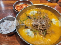 food, 음식, 칼국수, 강남교자, 겉절이, 사진,이미지,일러스트,캘리그라피 - endh7788작가 크라우드픽 - 저작권 걱정 없는 상업용 이미지