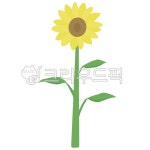 해바라기, 꽃, 자연, 식물, 풀, 사진,이미지,일러스트,캘리그라피 - 킴레디작가 크라우드픽 - 저작권 걱정 없는 상업용 이미지