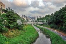 양재천, 하천, 신록, 자전거도로, 산책로, 사진,이미지,일러스트,캘리그라피 - Deep bLUE작가 크라우드픽 - 저작권 걱정 없는 상업용 이미지