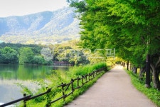 환경생태공원, 진해환경생태공원, 창원환경생태공원, 공원, 내수면환경생태공원, 사진,이미지,일러스트,캘리그라피 - rex37작가 크라우드픽... 