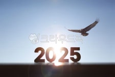 2025년, 새해, 독수리, 하늘, 태양, 사진,이미지,일러스트,캘리그라피 - artin작가 크라우드픽 - 저작권 걱정 없는 상업용 이미지