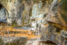 서울, 성북구, 상월곡동, 산, 천장산, 사진,이미지,일러스트,캘리그라피 - imlover작가 크라우드픽 - 저작권 걱정 없는 상업용 이미지