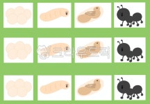 개미, 개미의성장, 곤충, 어린이집, 유치원, 사진,이미지,일러스트,캘리그라피 - 부기쌤작가 크라우드픽 - 저작권 걱정 없는 상업용 이미지