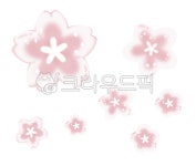 꽃, flower, 벚꽃, cherryblossomes, 분홍꽃, 사진,이미지,일러스트,캘리그라피 - XD GG작가 크라우드픽 - 저작권 걱정 없는 상업용 이미지