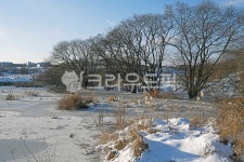 성성호수공원, 호수공원, 천안성성호수공원, 공원, 생태공원, 사진,이미지,일러스트,캘리그라피 - Deep bLUE작가 크라우드픽 - 저작권 걱정 없는... 