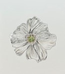 그림, 일러스트, 펜그림, 펜드로잉, 손그림, 사진,이미지,일러스트,캘리그라피 - 펠리시티작가 크라우드픽 - 저작권 걱정 없는 상업용 이미지