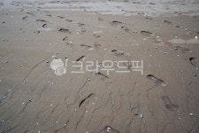 발자국, 모래사장, 바다, 해변, 간조, 사진,이미지,일러스트,캘리그라피 - Deep bLUE작가 크라우드픽 - 저작권 걱정 없는 상업용 이미지