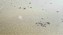 갯벌, 모래, 바닷가, 바다, 해변, 사진,이미지,일러스트,캘리그라피 - 소서맨작가 크라우드픽 - 저작권 걱정 없는 상업용 이미지