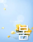 꽃, 꽃잎, 프레지아, 후레지아, 봄꽃, 사진,이미지,일러스트,캘리그라피 - DAWOOL작가 크라우드픽 - 저작권 걱정 없는 상업용 이미지