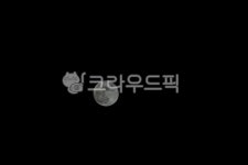 달, 보름달, 슈퍼문달, 만월, 하늘, 사진,이미지,일러스트,캘리그라피 - pandora4077작가 크라우드픽 - 저작권 걱정 없는 상업용 이미지