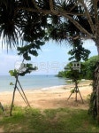 summer, 여름, 발리, 바다, 나무, 사진,이미지,일러스트,캘리그라피 - Nchloe_j0101작가 크라우드픽 - 저작권 걱정 없는 상업용 이미지
