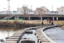 하천, 유등천, 대전, 운동, 조깅, 사진,이미지,일러스트,캘리그라피 - Sims작가 크라우드픽 - 저작권 걱정 없는 상업용 이미지