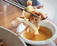 음식, food, 요리, 도토리, 도토리전, 사진,이미지,일러스트,캘리그라피 - 설화와작가 크라우드픽 - 저작권 걱정 없는 상업용 이미지