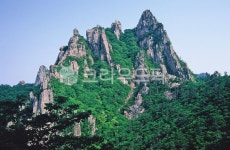 설악산국립공원, 설악산, 공룡능선, 1275봉, 골짜기, 사진,이미지,일러스트,캘리그라피 - space작가 크라우드픽 - 저작권 걱정 없는 상업용 이미지