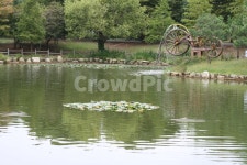 진주수목원, 물레방아, 연못, 바퀴, 호수, 사진,이미지,일러스트,캘리그라피 - piscesbud작가 크라우드픽 - 저작권 걱정 없는 상업용 이미지