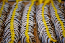 음식, 건어물, 수산물, 시장, 어시장, 사진,이미지,일러스트,캘리그라피 - 포타도작가 크라우드픽 - 저작권 걱정 없는 상업용 이미지