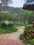 보도, walkway, nature, 산책길, 길, 사진,이미지,일러스트,캘리그라피 - 삿갓쓴지팡이작가 크라우드픽 - 저작권 걱정 없는 상업용 이미지