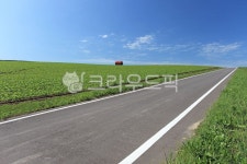 도로, 들판, 초원, 밭, 자연, 사진,이미지,일러스트,캘리그라피 - 프리이미지작가 크라우드픽 - 저작권 걱정 없는 상업용 이미지