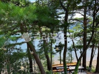 호수, 소나무, 숲, 소나무숲, 나무, 사진,이미지,일러스트,캘리그라피 - 애롱작가 크라우드픽 - 저작권 걱정 없는 상업용 이미지