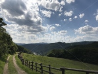 목장, 감성, 푸른초원, 구름, 초원, 사진,이미지,일러스트,캘리그라피 - 곰찬작가 크라우드픽 - 저작권 걱정 없는 상업용 이미지