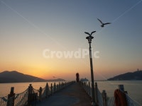 등대, 일출, 바다, 갈메기, 풍경, 사진,이미지,일러스트,캘리그라피 - 가을향기작가 크라우드픽 - 저작권 걱정 없는 상업용 이미지