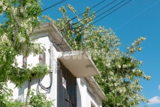 자연, 콘크리트, 집, 건축물, 아카시아, 사진,이미지,일러스트,캘리그라피 - SolarD작가 크라우드픽 - 저작권 걱정 없는 상업용 이미지