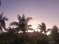 일몰, 풍경, 자연, 파스텔, 배경화면, 사진,이미지,일러스트,캘리그라피 - 헨델작가 크라우드픽 - 저작권 걱정 없는 상업용 이미지