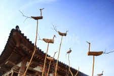 솟대, 한옥, 한국전통, 무늬, 한국, 사진,이미지,일러스트,캘리그라피 - 천창기작가 크라우드픽 - 저작권 걱정 없는 상업용 이미지